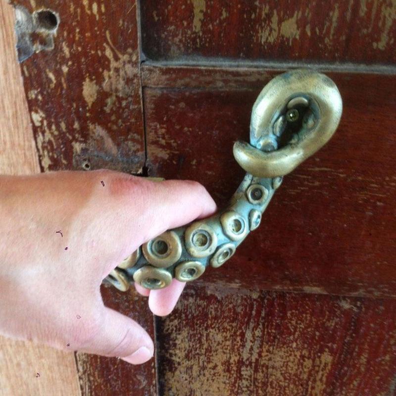 خمر الأخطبوط مقبض الباب الحيوا - مراجعة Furniture Hardware Nut وسعره