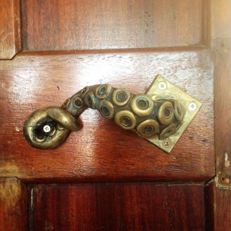 خمر الأخطبوط مقبض الباب الحيوا - مراجعة Furniture Hardware Nut وسعره